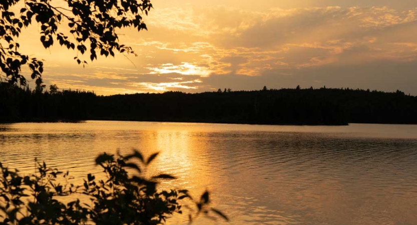 The sky appears in shades of yellow and orange as the sun either rises or sets. behind a line of trees on the bank of a lake.